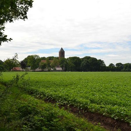 Mooi Nieuw Houten Huisje Havelte Eksteriør bilde