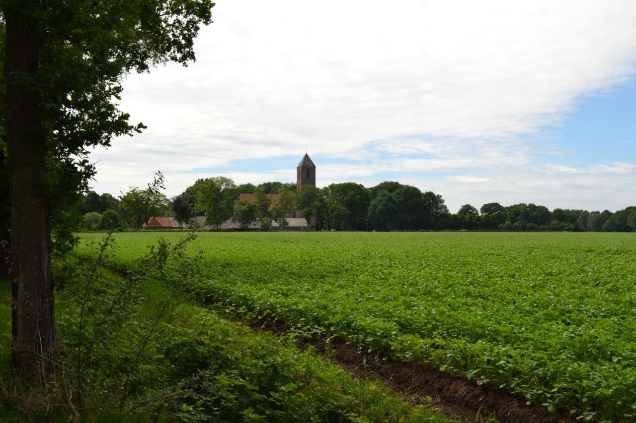 Mooi Nieuw Houten Huisje Havelte Eksteriør bilde
