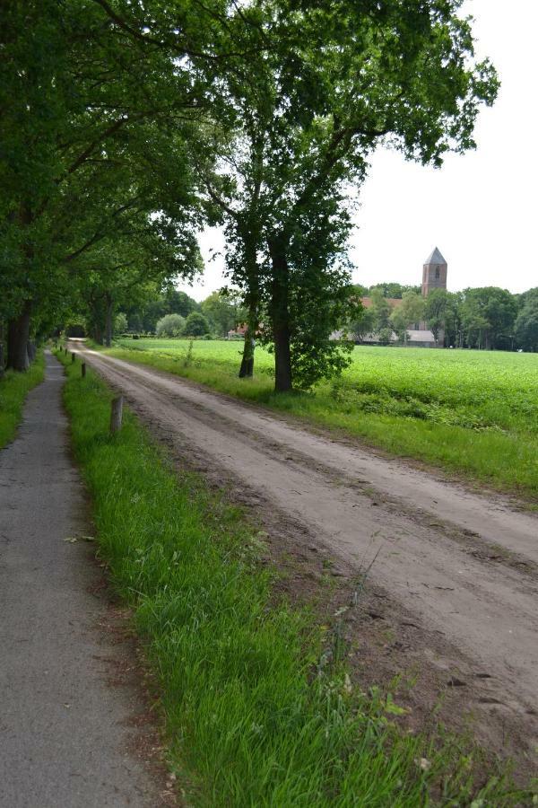 Mooi Nieuw Houten Huisje Havelte Eksteriør bilde